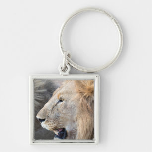 Lion Portrait Key Ring
