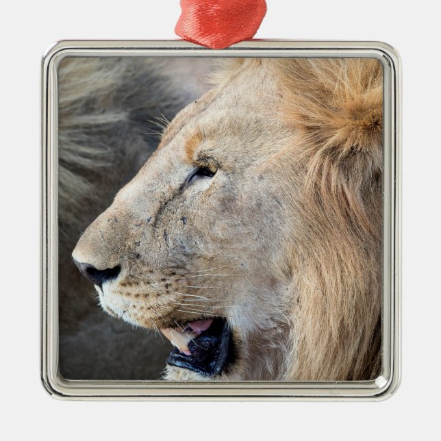Lion Portrait Metal Tree Decoration (Front)