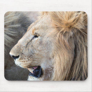 Lion Portrait Mouse Pad