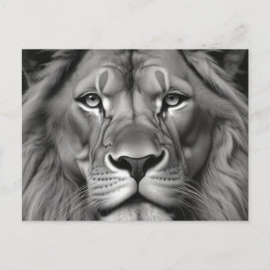 Lion Postcard