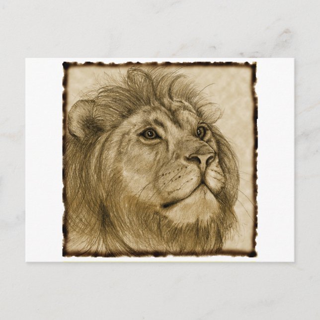 LION POSTCARD (Front)