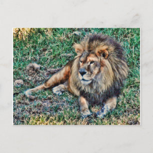 Lion Postcard