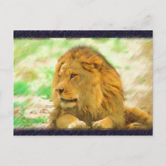 Lion postcard