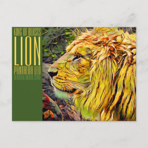 Lion [Postcard] Postcard