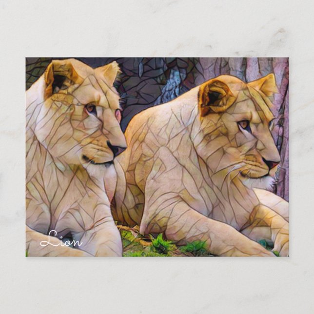 Lion [Postcard] Postcard (Front)