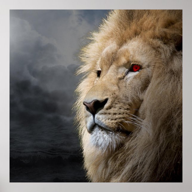 Lion  poster (Front)
