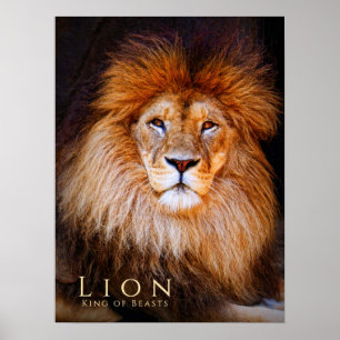 Lion [Poster] Poster