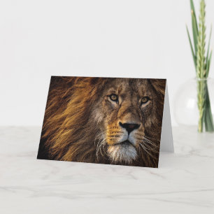 Lion Predator Lion Card