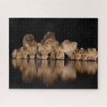 Lion Pride Drinks at the Water Hole at Night Jigsaw Puzzle<br><div class="desc">Africa,  East Africa,  Kenya,  Great Rift Valley,  Olkirimatian Conservancy,  lion,  Panthera leo.  A lion pride drinks at the water hole at night.</div>