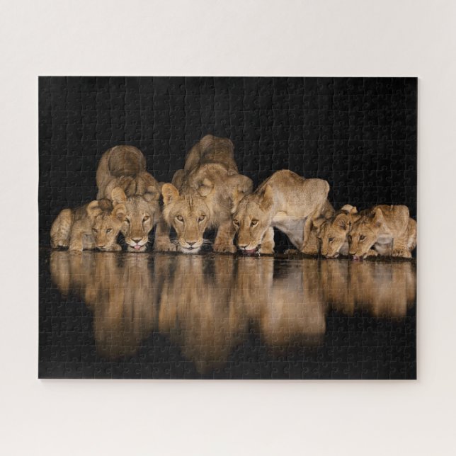 Lion Pride Drinks at the Water Hole at Night Jigsaw Puzzle (Horizontal)