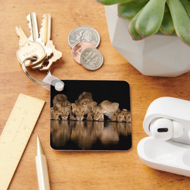 Lion Pride Drinks at the Water Hole at Night Key Ring (Desk)