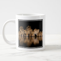 Lion Pride Drinks at the Water Hole at Night
