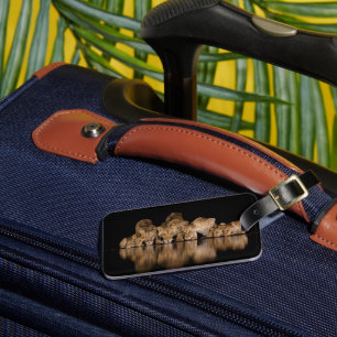 Lion Pride Drinks at the Water Hole at Night Luggage Tag