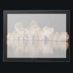 Lion Pride Drinks at the Water Hole at Night Notepad<br><div class="desc">Africa,  East Africa,  Kenya,  Great Rift Valley,  Olkirimatian Conservancy,  lion,  Panthera leo.  A lion pride drinks at the water hole at night.</div>