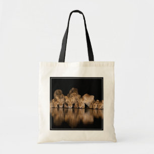 Lion Pride Drinks at the Water Hole at Night Tote Bag