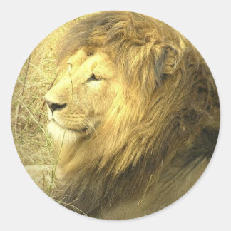 Lion Pride Sticker