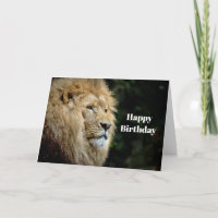 Lion Profile Wildlife Photo Birthday