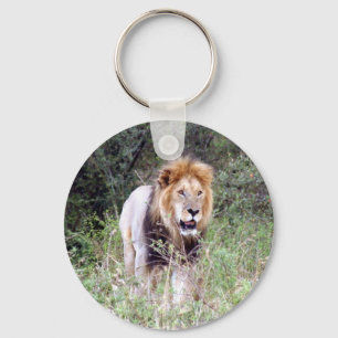 lion prowl key ring