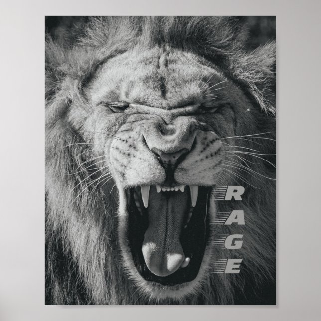 Lion Rage Black and White Roar Poster (Front)
