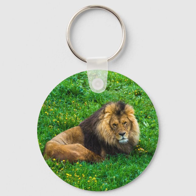 Lion Relaxing in Green Grass Photo Key Ring (Front)