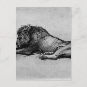 Lion resting by Rembrandt Postcard