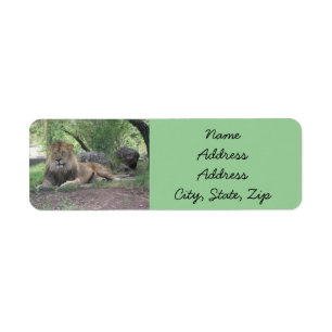 Lion Return Address Labels