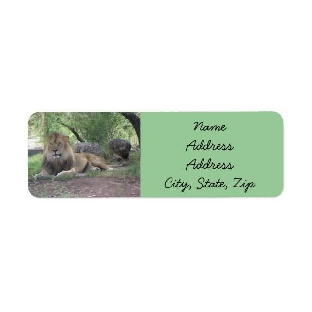 Lion Return Address Labels (Front)