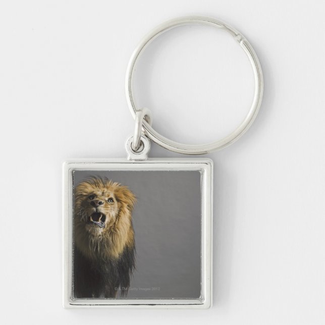 Lion roaring key ring (Front)