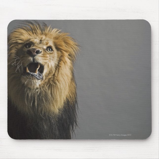 Lion roaring mouse pad (Front)