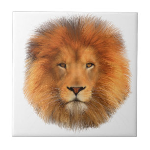 Lion’s Mane Tile