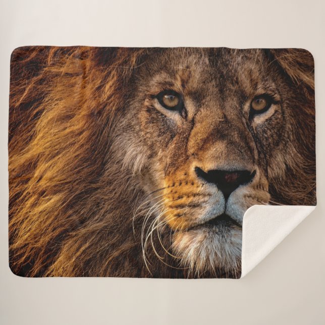 Lion Sherpa Blanket (Front (Horizontal))