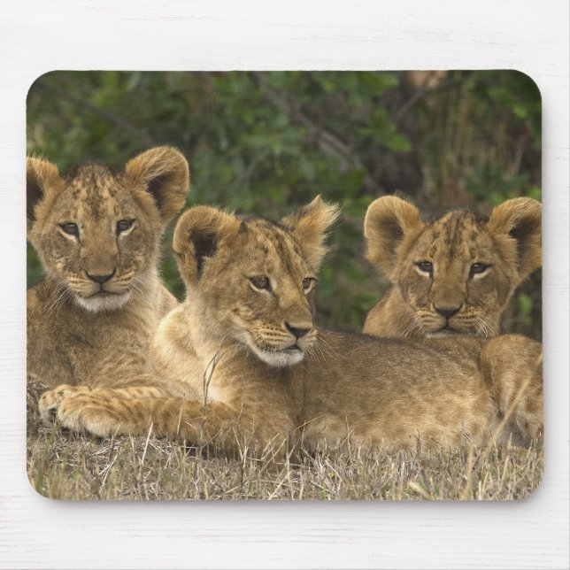 Lion Siblings Mouse Pad (Front)