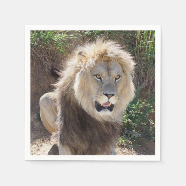 Lion sitting on the rocks   napkin (Front)