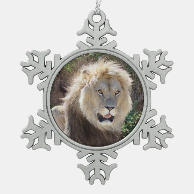 Lion sitting on the rocks   snowflake pewter christmas ornament (Front)
