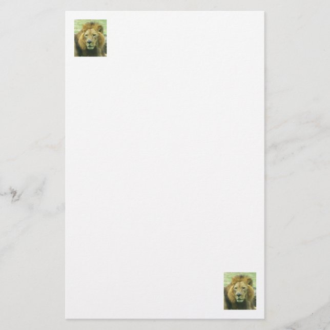 Lion Stationary Stationery (Front)