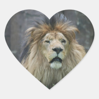 Lion Sticker