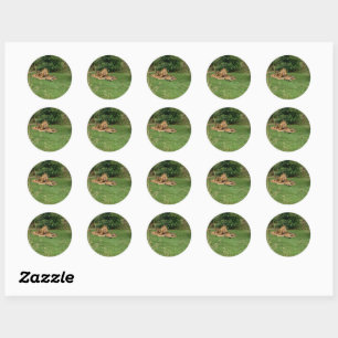 Lion Stickers