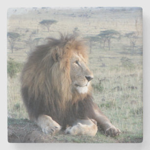 Lion Stone Coaster