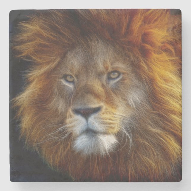 Lion Stone Coaster (Front)