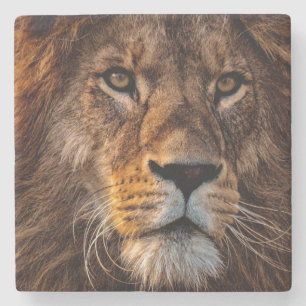 Lion Stone Coaster