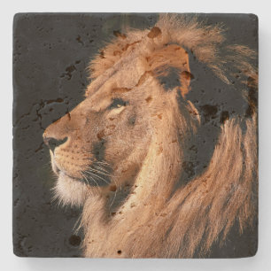 Lion Stone Coaster