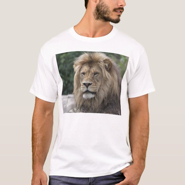 Lion T-Shirt (Front)