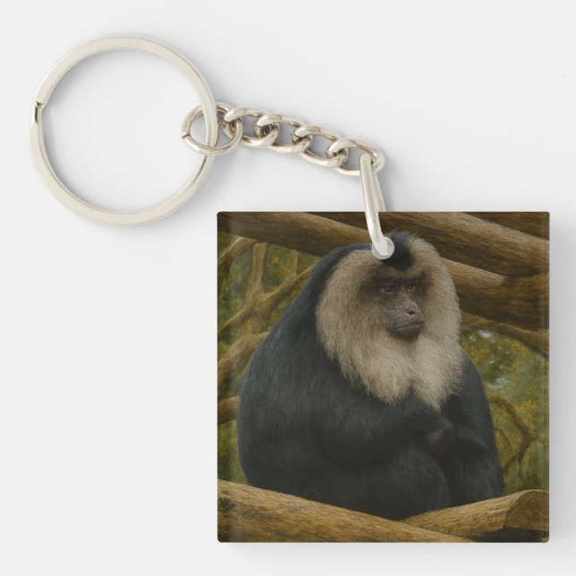 Lion-Tailed Macaque in Forest Sanctuary Key Ring (Front)