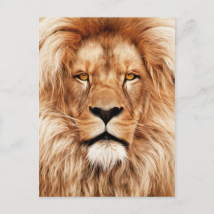 Lion The King Photo Painting Postcard