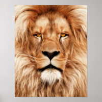 Lion The King Photo Painting