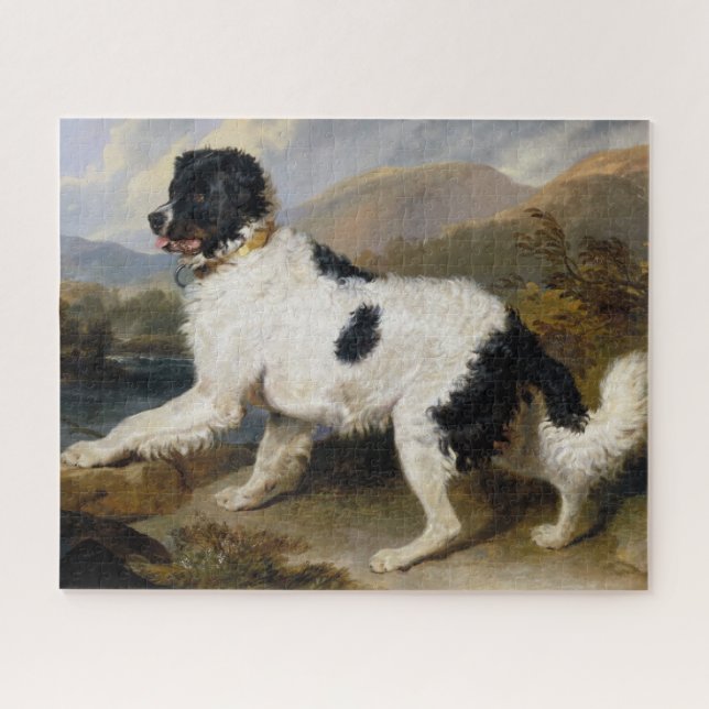 Lion:  The Newfoundland Dog Jigsaw Puzzle (Horizontal)
