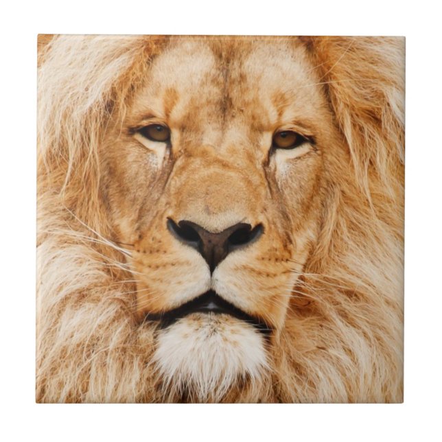 Lion Tile (Front)