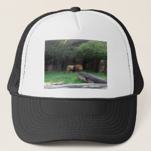 Lion Trucker Hat