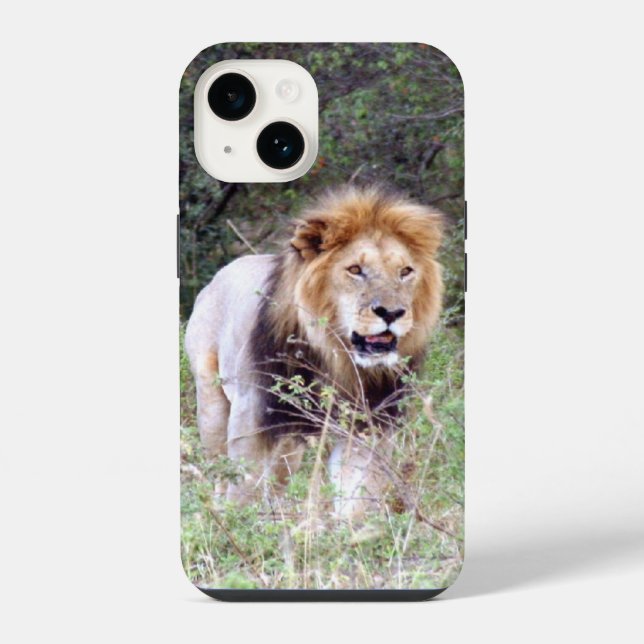 lion walk iPhone case (Back)