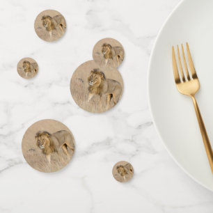 Lion walking confetti